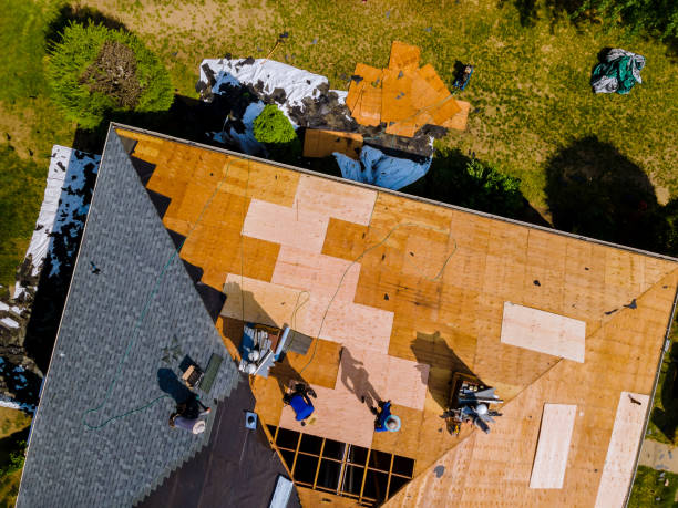 Best Roof Repair Services  in Russellville, AR