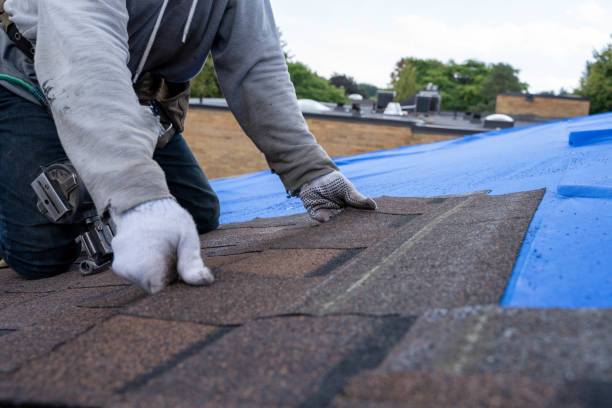 Best Metal Roofing Contractor  in Russellville, AR