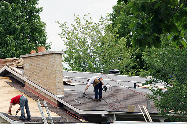 Best Storm Damage Roof Repair  in Russellville, AR