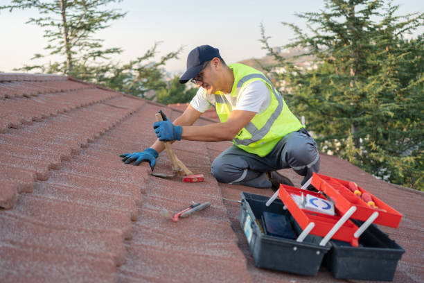 Best Roof Gutter Cleaning  in Russellville, AR